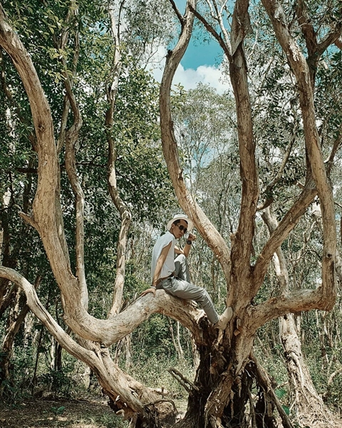 khu-bao-ton-thien-nhien-Binh-Chau-Phuoc-Buu2